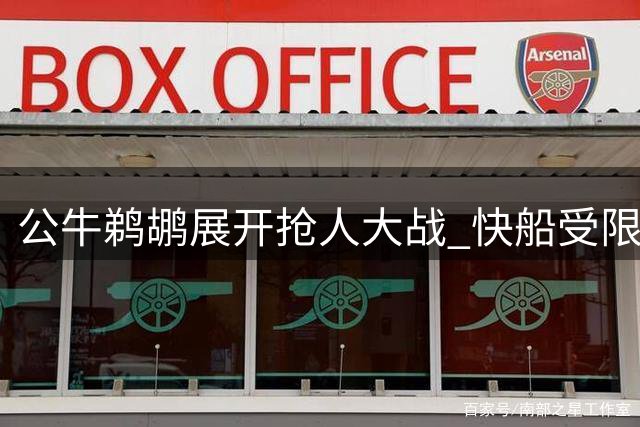 公牛鹈鹕展开抢人大战 快船受限自由人马图林成香饽饽